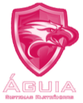 logo-cliente-aguia-sistemas-seguranca-prospectando